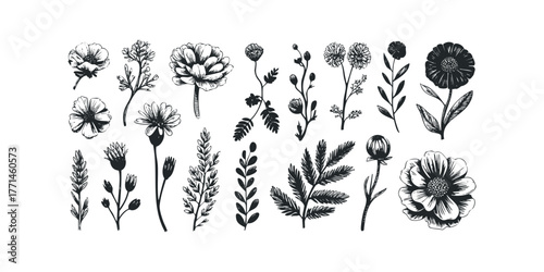 Collection of Hand Drawn Wildflowers and Foliage Silhouettes