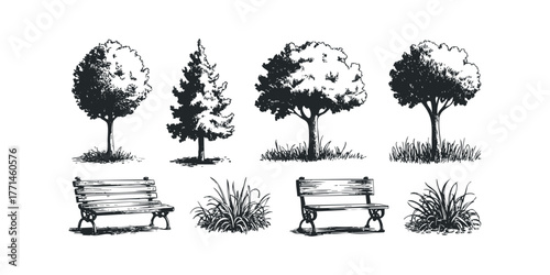 Collection of trees and park benches