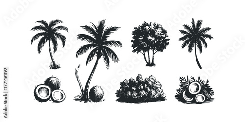 Collection of Black Silhouette Palm Trees and Coconuts