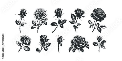 Collection of Black Rose Silhouettes with Stems and Leaves