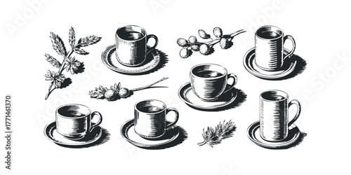 Collection of Hand Drawn Coffee Cups and Botanicals
