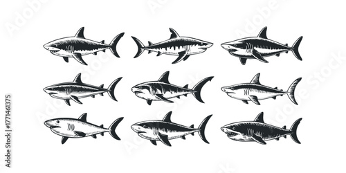 Collection of Nine Hand Drawn Shark Silhouettes