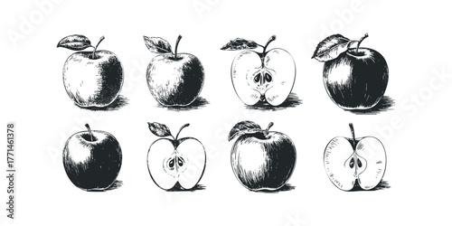 Set of Hand Drawn Apples and Slices