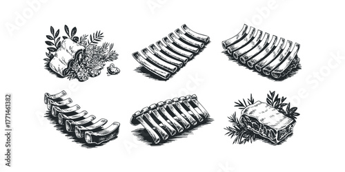 Raw Meat Cuts with Herbs and Spices