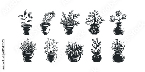 Collection of Hand Drawn Potted Plants and Vases