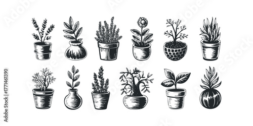 Collection of Potted Plant Illustrations in Black and White