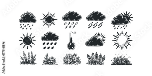 Weather icons and nature elements collection