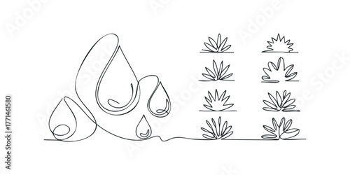 Abstract line art of water drops and botanical sprouts