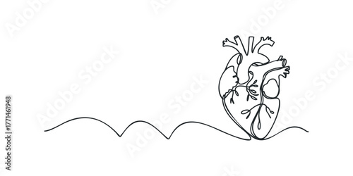 Single line drawing of a human heart with organic elements