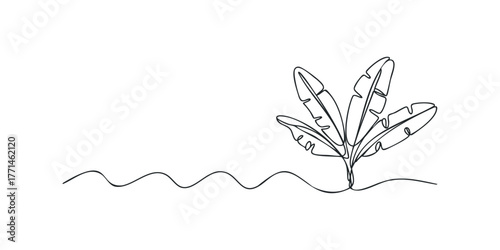 Minimalist line drawing of banana leaves on wavy ground