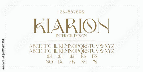 Luxury alphabet letters font. Typography elegant wedding classic lettering serif fonts decorative vintage retro concept. vector illustration