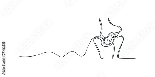 Single line drawing of human hip joint anatomy