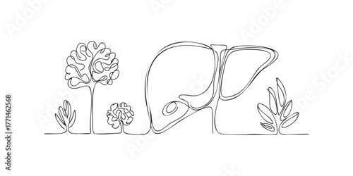 Continuous line drawing of abstract organic shapes and flora