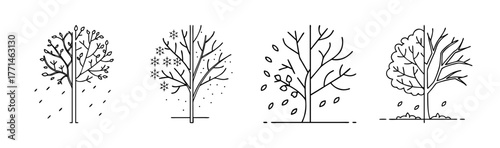 Half leaf half bare tree seasonal change vector illustration