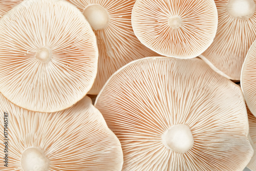 Bild auf Leinwand Inverted caps of wild mushrooms of beige color