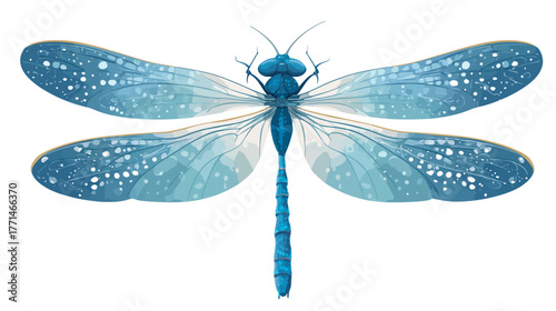 An illustrated depiction of a dragonfly with a blue body, spotted wings, on a white background