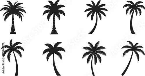 Collection of eight black silhouette palm trees on a white background