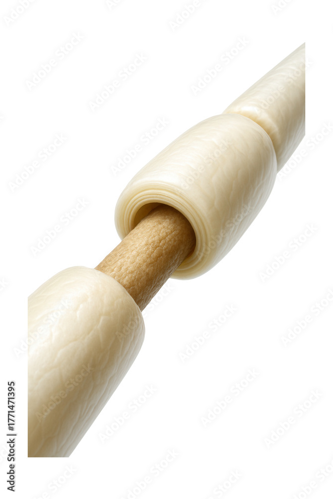 Fototapeta premium Node of Ranvier illustrating a gap in the myelin sheath on a myelinated axon.