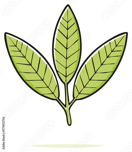 Stylized illustration of three vibrant green leaves on a stem representing nature freshness and ecological growth