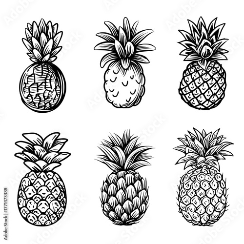 Pineapple icon set, including pineapple fruit icon and pineapple graphic, represented by pineapple illustration