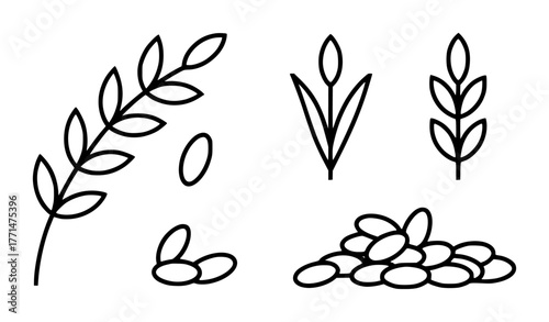 Simple Line Art Icons of Grains and Seeds on White Background