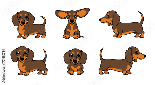 Adorable dachshund cartoon collection showcasing various cute poses and expressions, perfect for playful designs and cheerful content