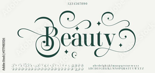 Elegant wedding logo alphabet letters font. Typography luxury classic lettering serif fonts decorative vintage retro logos and number. vector illustration