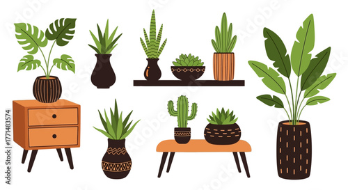 A diverse collection of trendy houseplants in decorative pots, creating an urban jungle ambiance. Flat vector illustration set for home decor and interior design concepts