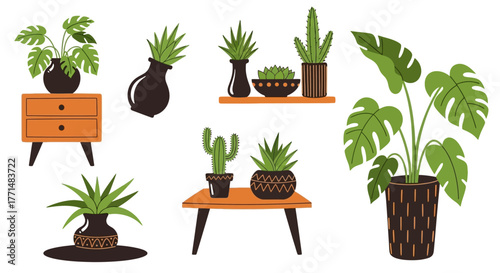 Collection of various houseplants and decorative pots, perfect for interior design and home decor inspiration
