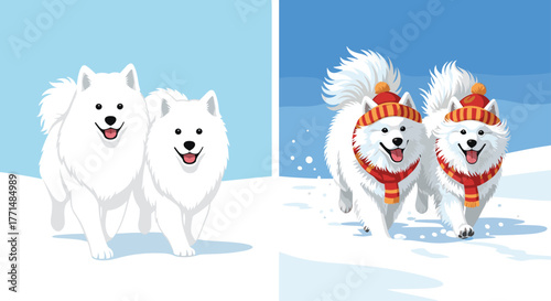 Joyful Samoyed dogs with winter hats and scarves bounding through fresh snow, captured in a vibrant, playful moment