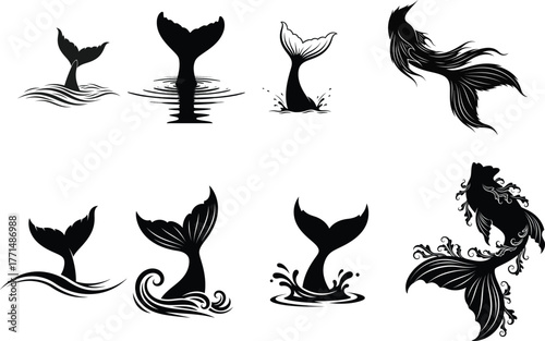 Mermaid Tail and Whale Fluke Designs with Water Splash Vector Silhouette
