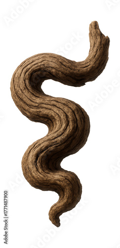 Twisted tree root with distinct ridges and an intricate shape.