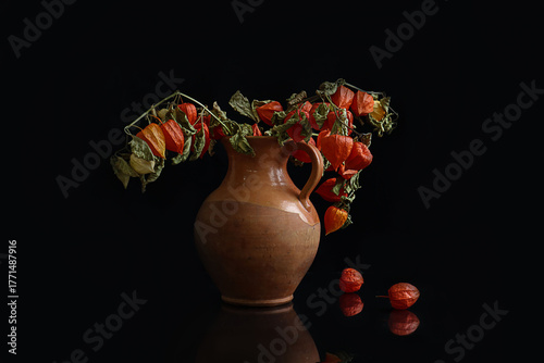 A bouquet of red autumn physalis in a clay pot against a dark background