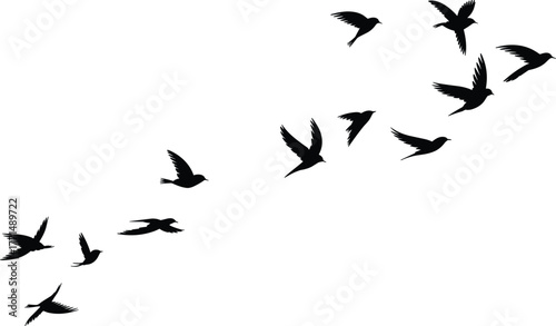 Flying birds silhouette in sky, freedom and nature concept, flock of birds in motion, black vector illustration for design.