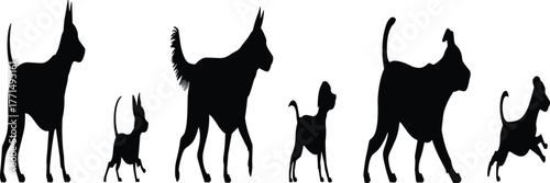Silhouette of different dog breeds walking and standing, pet collection illustration, black animal vector art for training and design projects.