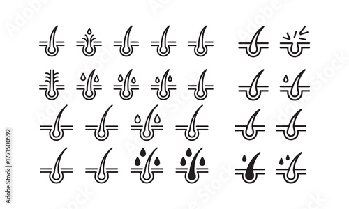 Hair Follicle Treatment and Growth Line Icon Set