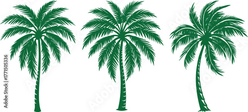 Tropical palm tree silhouette vector illustration isolated on white for summer beach travel and nature vacations