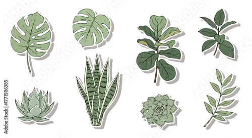 Tropical Houseplant Sticker Set with Monstera, Succulent, and Fiddle Leaf Fig