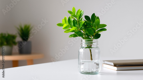 Glass jar with single flour...