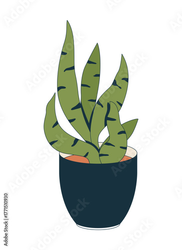 Sansevieria snake plant in sleek black pot 2D cartoon object. Dracaena trifasciata potted, mother in laws tongue houseplant flowerpot isolated element flat vector clip art on white. Spot illustration