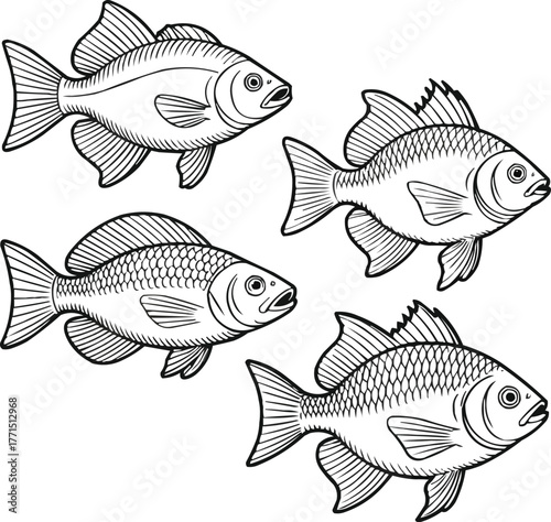 Detailed Fish Line Art Set  Four Hand Drawn Illustrations with Intricate Scales and Fins