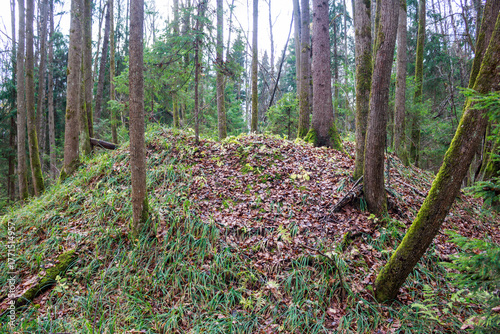 Ancient burial mound in a thick Russian forest, blanketed with autumn leaves and lush green undergrowth. A mysterious, age-old landmark from Slavic and Baltic history