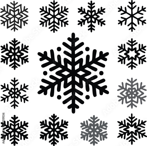 Snowflake silhouette icon set with variety of 12 snowflake shapes, geometric symmetry vector