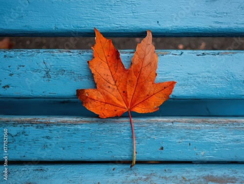Autumn Maple Leaf Resting on Textured Blue Wooden Bench with Grains and Cracks in Outdoor Park Setting, Vibrant Orange Foliage Contrasting with Painted Wood Surface