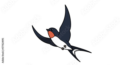 Illustration of a flying swallow