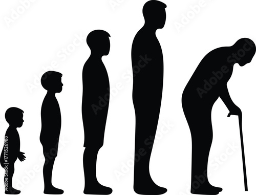 Human life cycle silhouette showing growth from childhood to old age