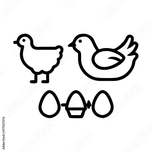 A black and white close up of a white cat s face