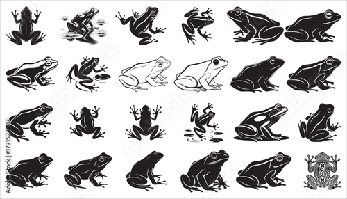 Frog silhouette vector illustration on white background  in various poses