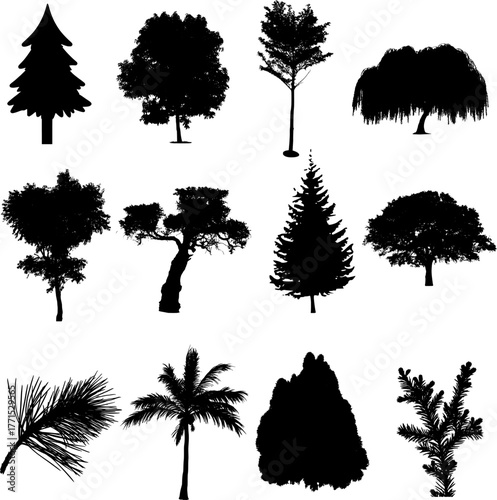 set of trees Silhouette on white background.