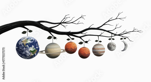 Adobe Illustrator Artwork